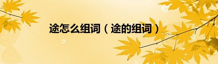 途怎么组词（途的组词）