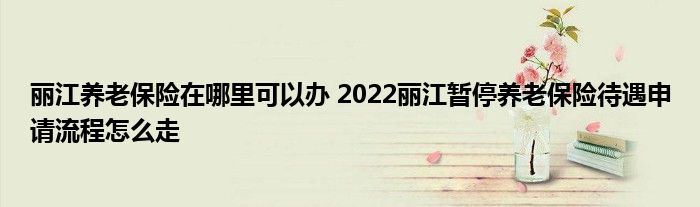 丽江养老保险在哪里可以办 2022丽江暂停养老保险待遇申请流程怎么走