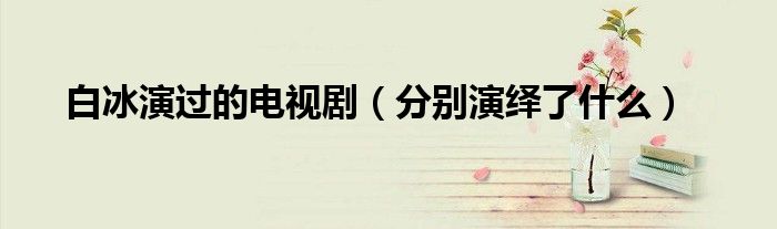 白冰演过的电视剧（分别演绎了什么）