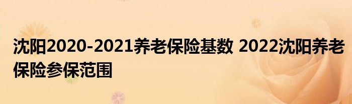 沈阳2020-2021养老保险基数 2022沈阳养老保险参保范围