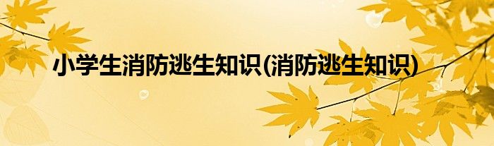 小学生消防逃生知识(消防逃生知识)