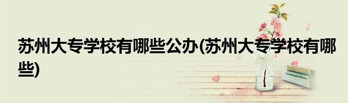 苏州大专学校有哪些公办(苏州大专学校有哪些)