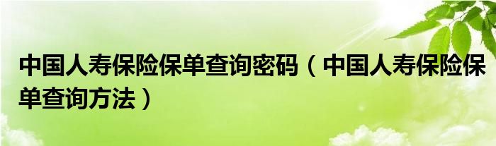 中国人寿保险保单查询密码（中国人寿保险保单查询方法）
