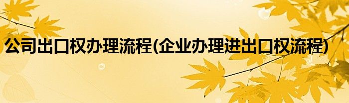 公司出口权办理流程(企业办理进出口权流程)