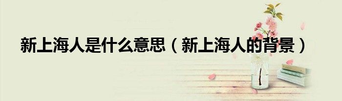 新上海人是什么意思（新上海人的背景）