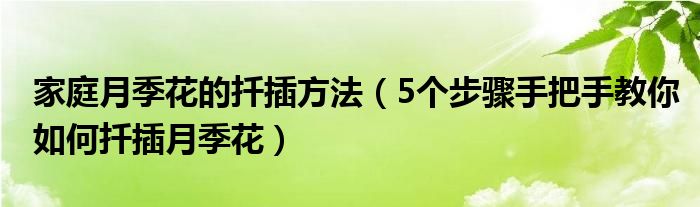 家庭月季花的扦插方法（5个步骤手把手教你如何扦插月季花）