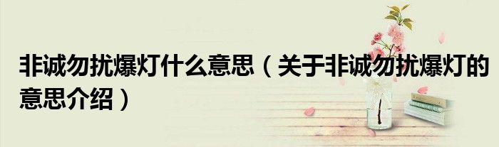 非诚勿扰爆灯什么意思（关于非诚勿扰爆灯的意思介绍）