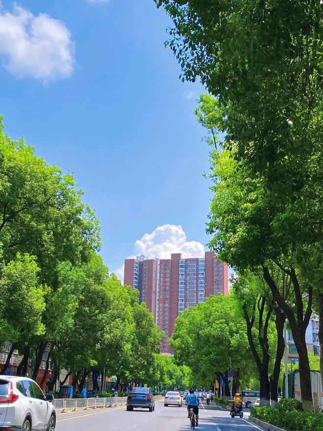 立秋日高温红色预警！蔡甸还要热多久？