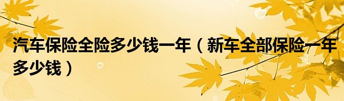 汽车保险全险多少钱一年（新车全部保险一年多少钱）