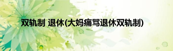 双轨制 退休(大妈痛骂退休双轨制)