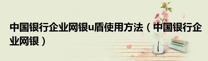 中国银行企业网银u盾使用方法（中国银行企业网银）