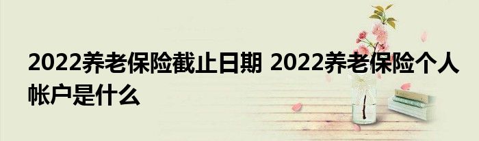 2022养老保险截止日期 2022养老保险个人帐户是什么