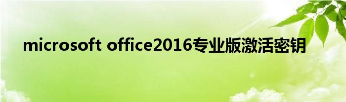 microsoft office2016专业版激活密钥