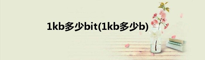 1kb多少bit(1kb多少b)