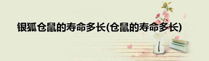 银狐仓鼠的寿命多长(仓鼠的寿命多长)