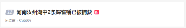 河南汝州发现的“怪鱼”抓住了：系2条鳄雀鳝，已对其进行无害化处理