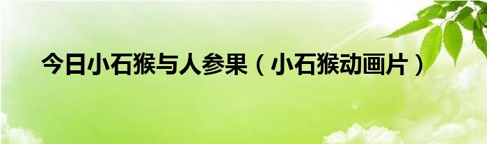 今日小石猴与人参果（小石猴动画片）