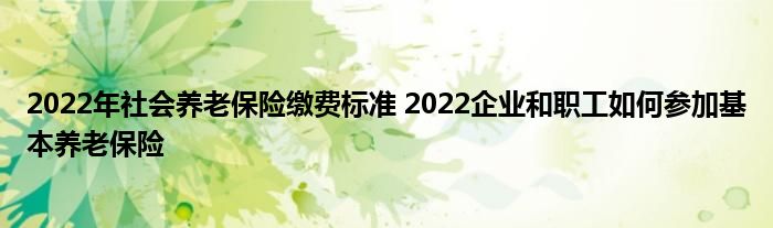 2022年社会养老保险缴费标准 2022企业和职工如何参加基本养老保险