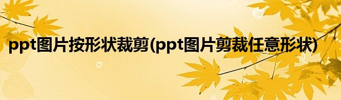 ppt图片按形状裁剪(ppt图片剪裁任意形状)