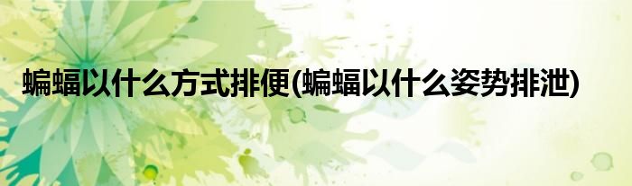 蝙蝠以什么方式排便(蝙蝠以什么姿势排泄)