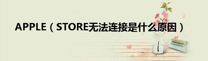APPLE（STORE无法连接是什么原因）