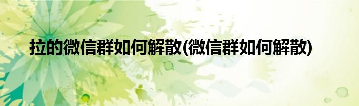 拉的微信群如何解散(微信群如何解散)