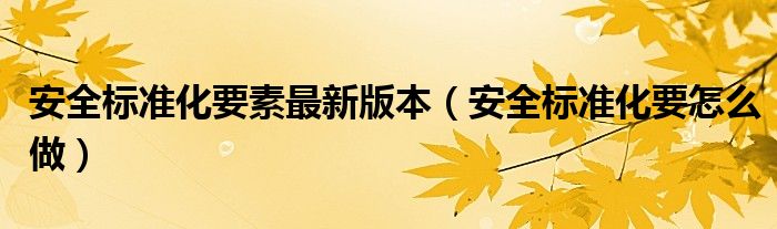 安全标准化要素最新版本（安全标准化要怎么做）