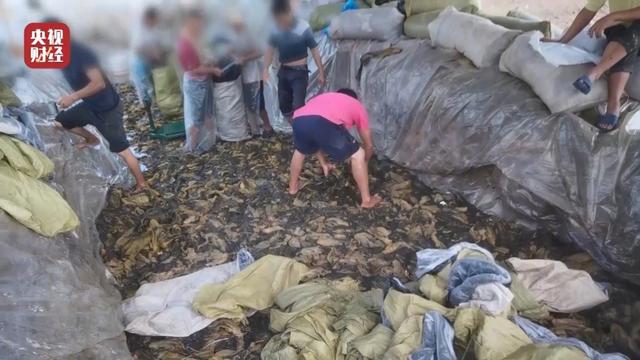 康师傅再致歉！多地超市下架酸菜系产品，曾经的“网红”成过街老鼠