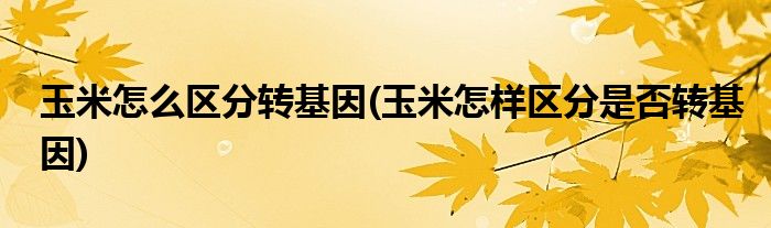 玉米怎么区分转基因(玉米怎样区分是否转基因)