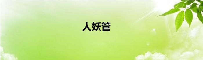 人妖管