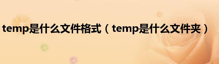 temp是什么文件格式（temp是什么文件夹）