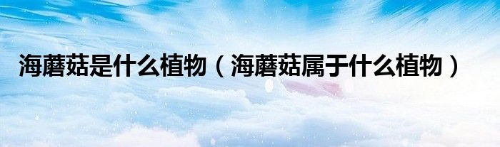 海蘑菇是什么植物（海蘑菇属于什么植物）