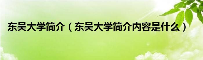 东吴大学简介（东吴大学简介内容是什么）