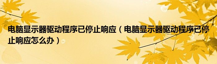电脑显示器驱动程序已停止响应（电脑显示器驱动程序已停止响应怎么办）