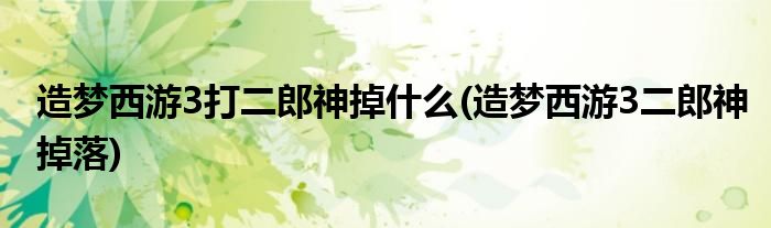 造梦西游3打二郎神掉什么(造梦西游3二郎神掉落)