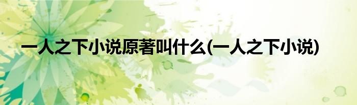一人之下小说原著叫什么(一人之下小说)