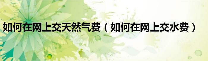如何在网上交天然气费（如何在网上交水费）