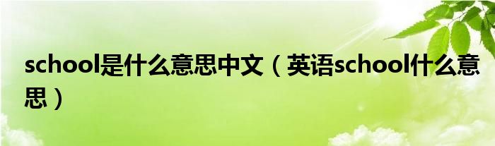 school是什么意思中文（英语school什么意思）