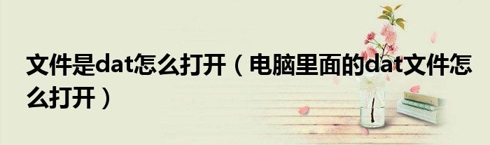 文件是dat怎么打开（电脑里面的dat文件怎么打开）