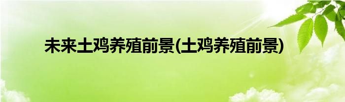 未来土鸡养殖前景(土鸡养殖前景)