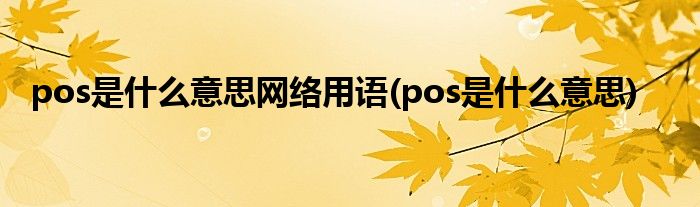 pos是什么意思网络用语(pos是什么意思)