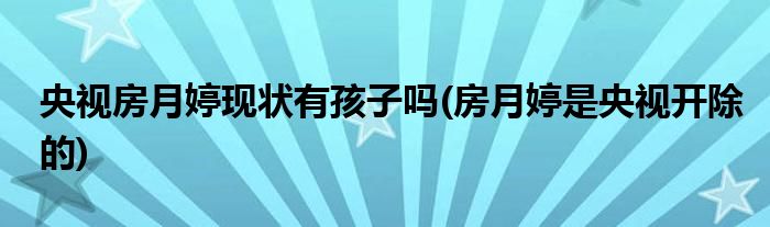 央视房月婷现状有孩子吗(房月婷是央视开除的)