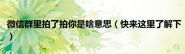 微信群里拍了拍你是啥意思（快来这里了解下）