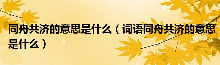 同舟共济的意思是什么（词语同舟共济的意思是什么）