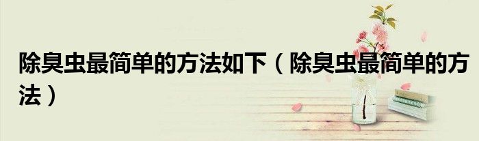 除臭虫最简单的方法如下（除臭虫最简单的方法）