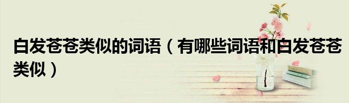 白发苍苍类似的词语（有哪些词语和白发苍苍类似）