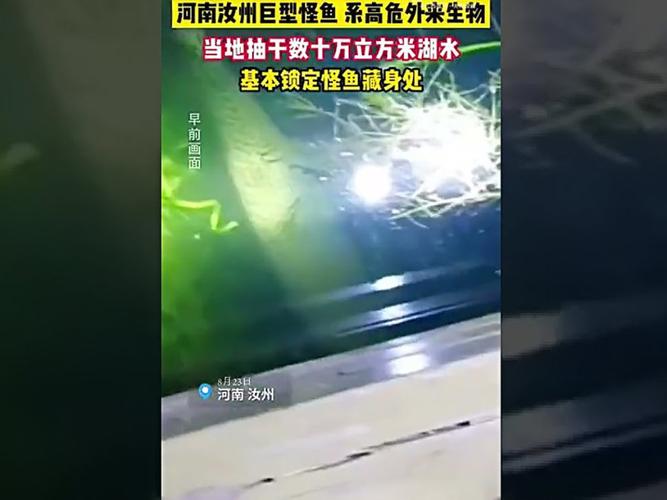 河南汝州市中央公园云禅湖出现一条“怪鱼”吃掉了整湖的鱼 当地组织打捞队抽干湖水抓“怪鱼”