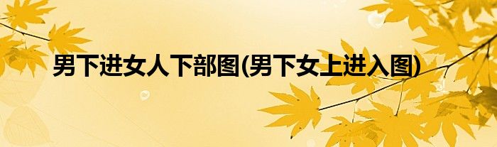 男下进女人下部图(男下女上进入图)