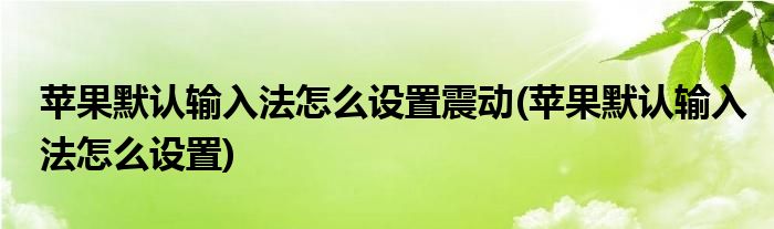 苹果默认输入法怎么设置震动(苹果默认输入法怎么设置)