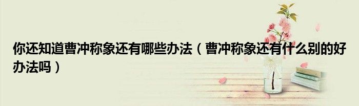 你还知道曹冲称象还有哪些办法（曹冲称象还有什么别的好办法吗）